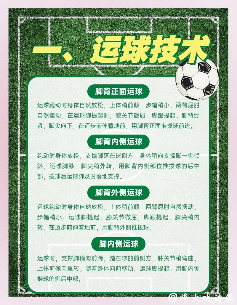 全面解读世界杯体育网站最新资讯